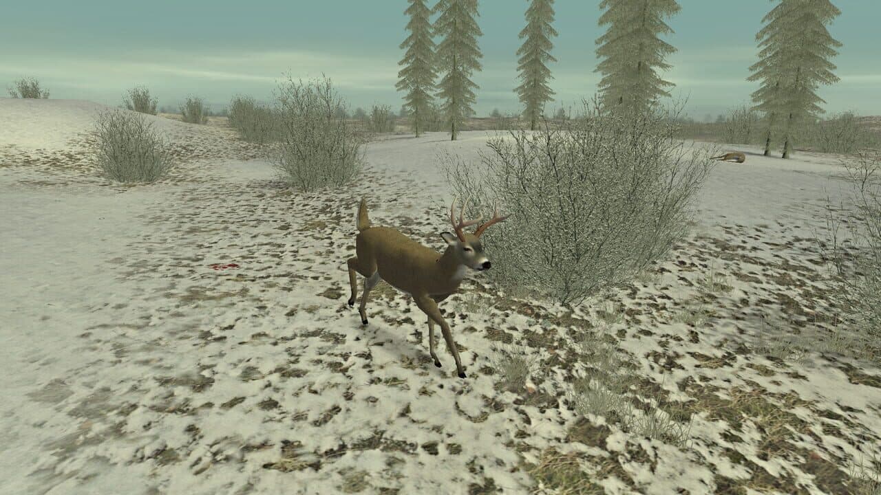 Hunting Unlimited 2 thumbnail 5