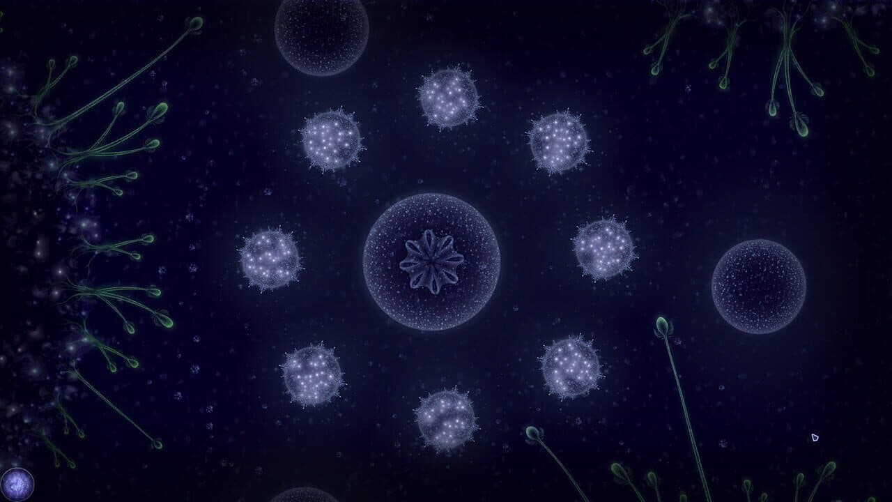 Microcosmum: Survival of Cells - Campaign "New life" thumbnail 9