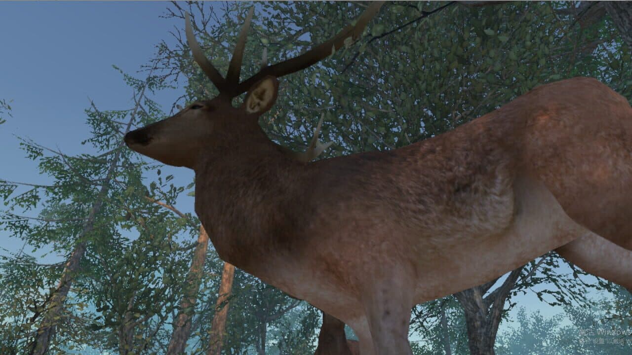 VR Wonderland: mini civilizations in a forest thumbnail 30