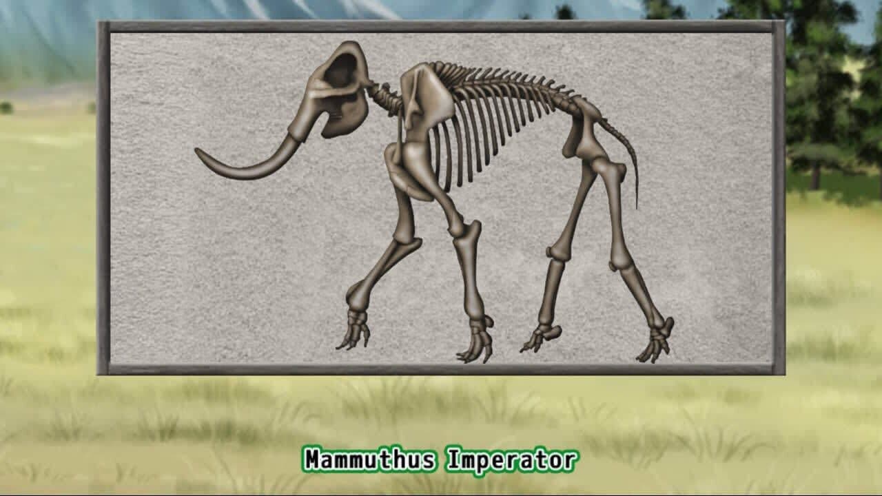 Prehistoric Life Puzzles thumbnail 5