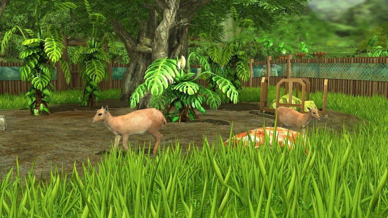 Wildlife Park 3: Amazonas thumbnail 6