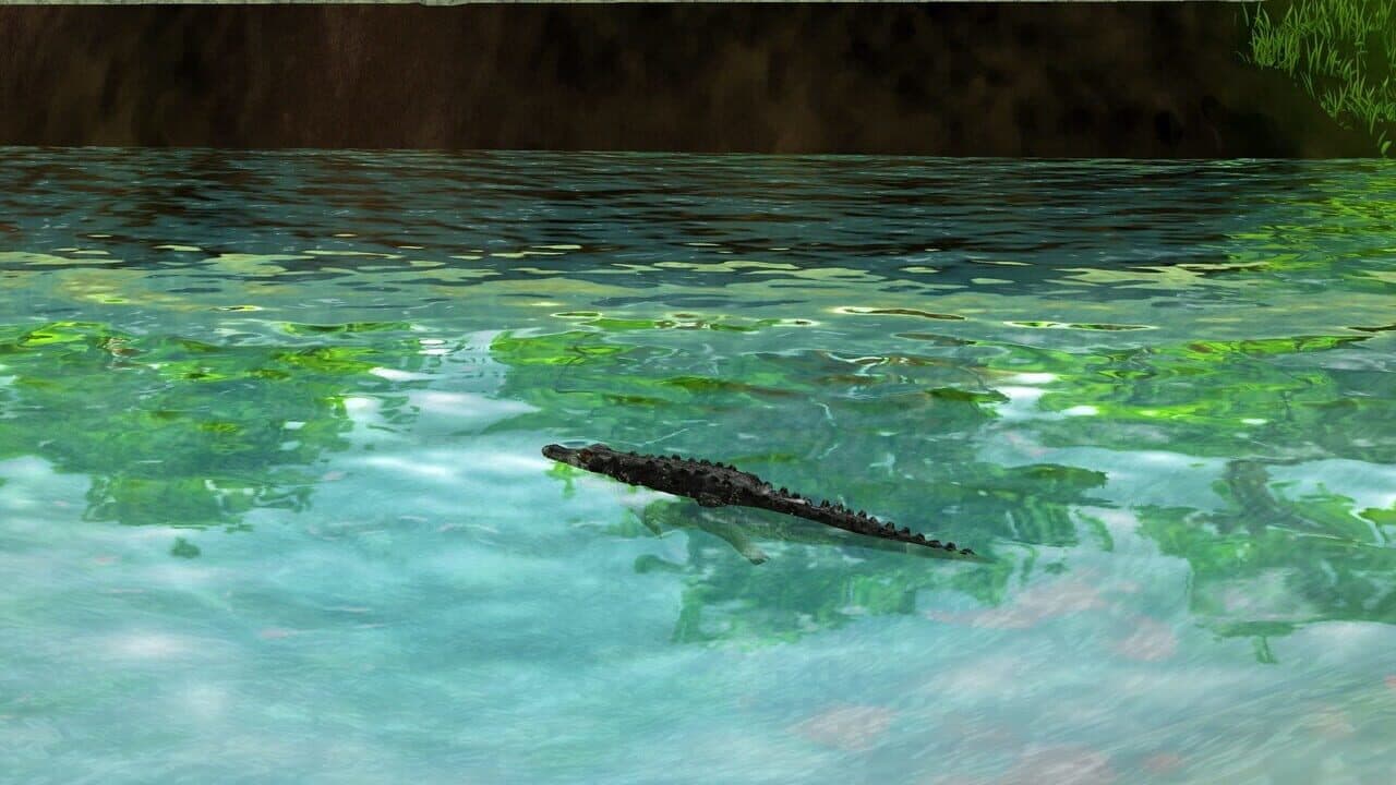 Wildlife Park 3: Amazonas thumbnail 13