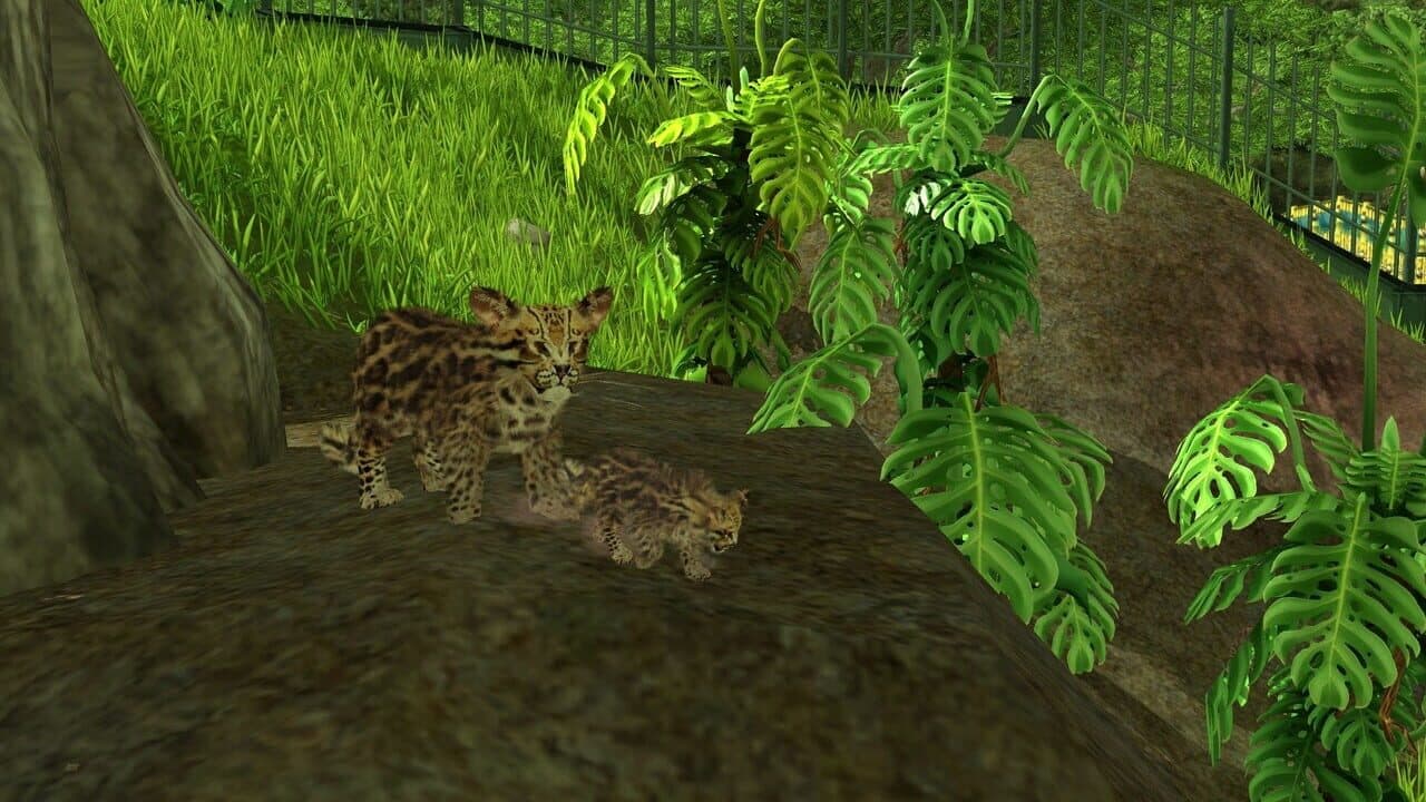 Wildlife Park 3: Amazonas thumbnail 16