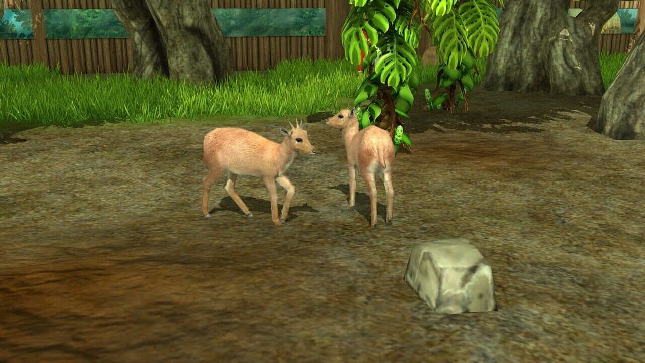 Wildlife Park 3: Amazonas thumbnail 17