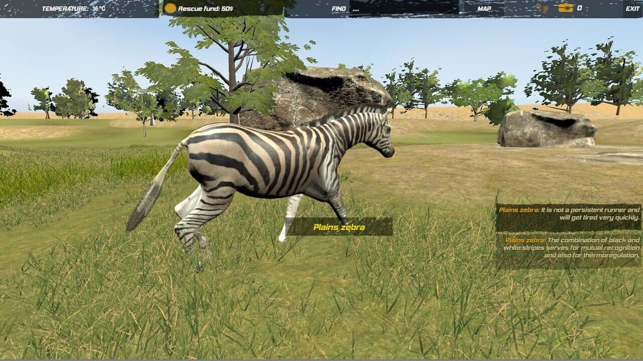 Galvatia thumbnail 4