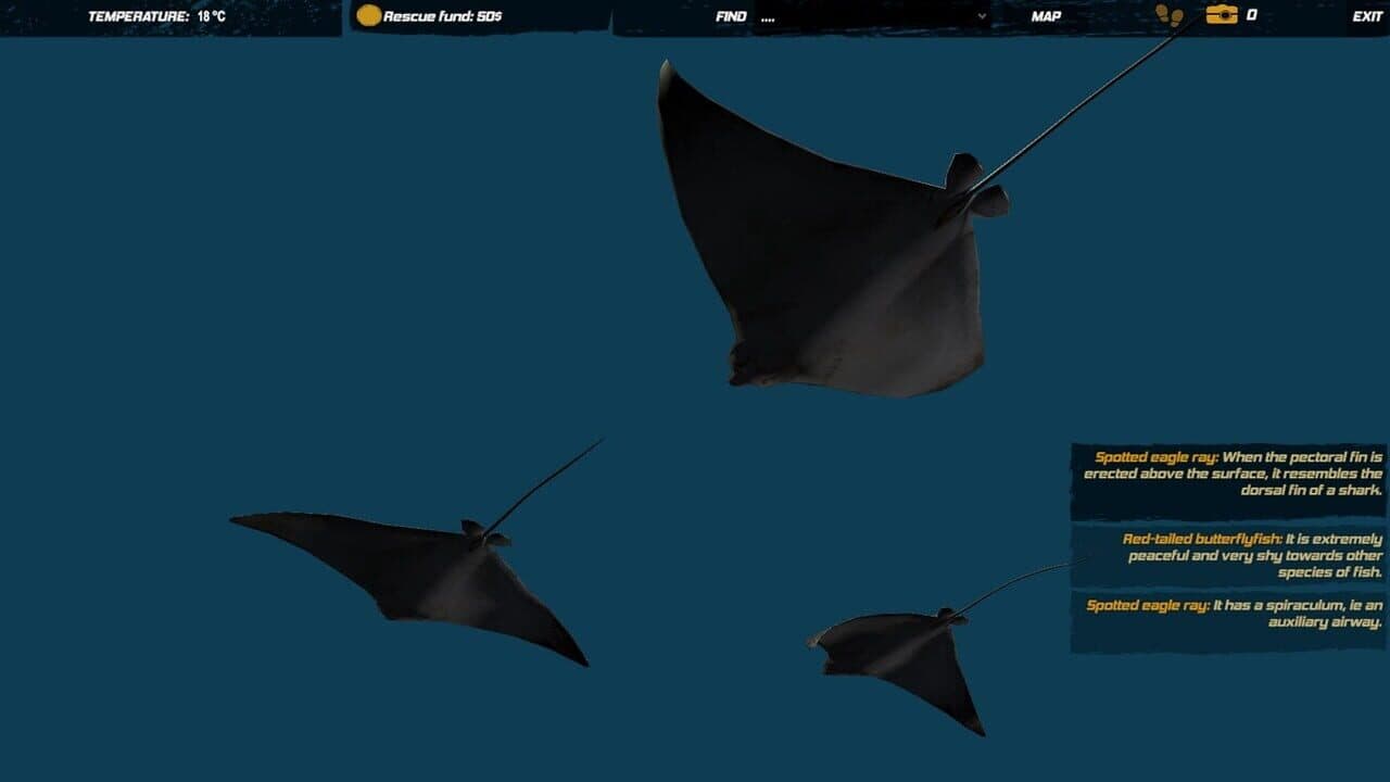 Galvatia thumbnail 7