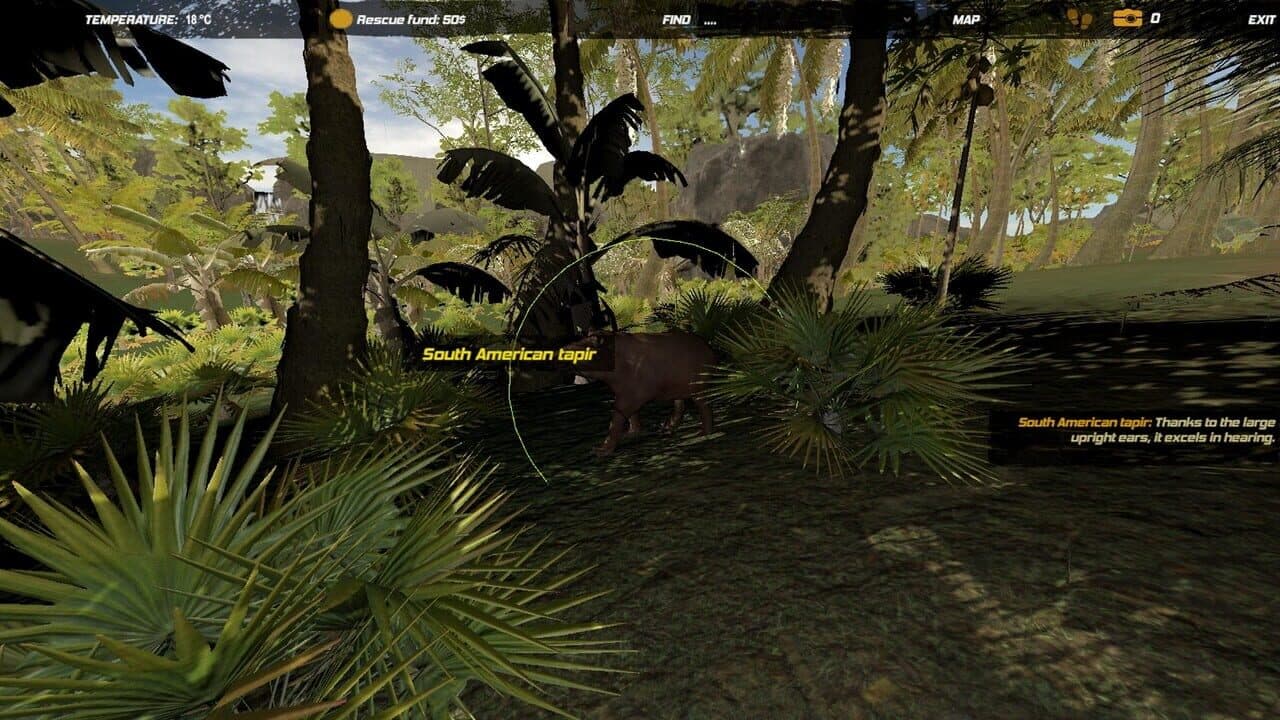 Galvatia thumbnail 11