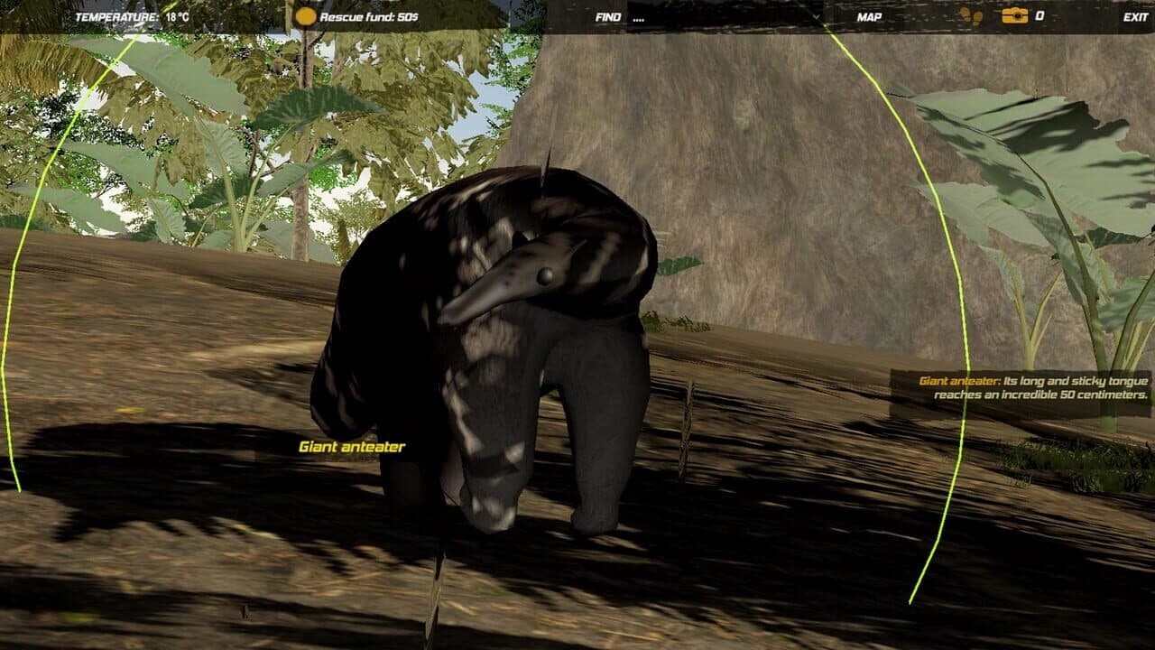Galvatia thumbnail 12