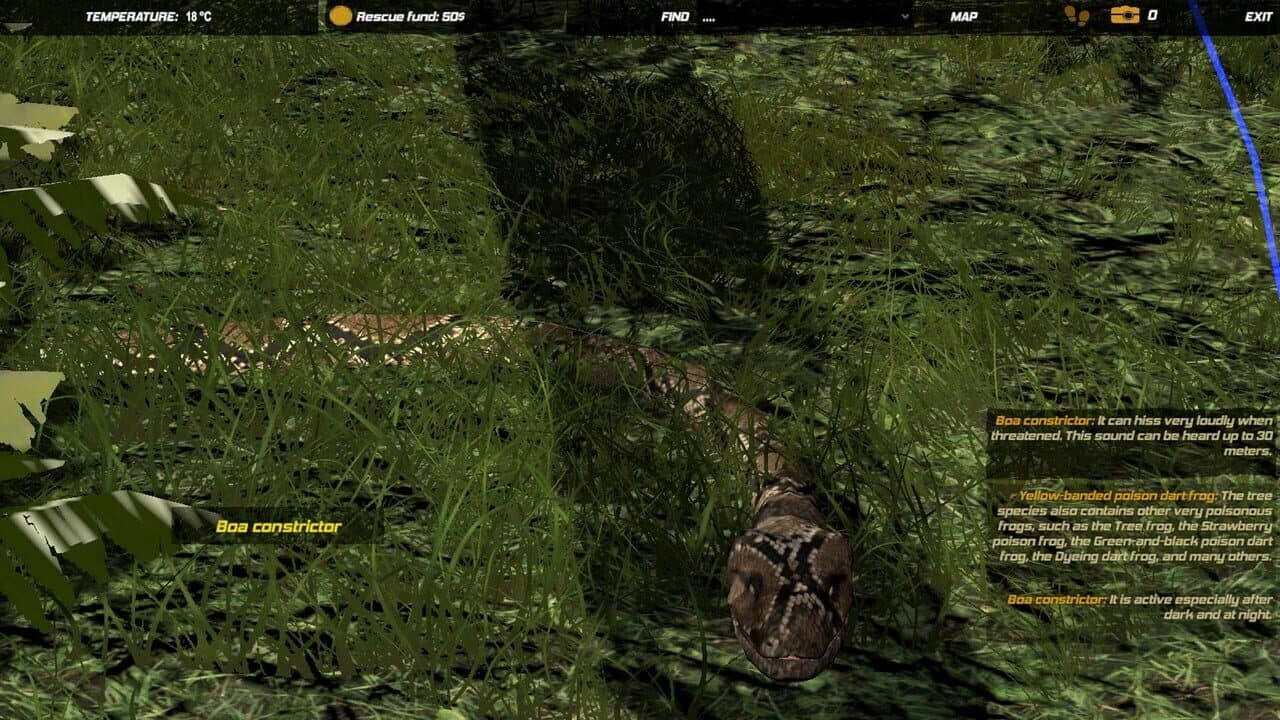 Galvatia thumbnail 13
