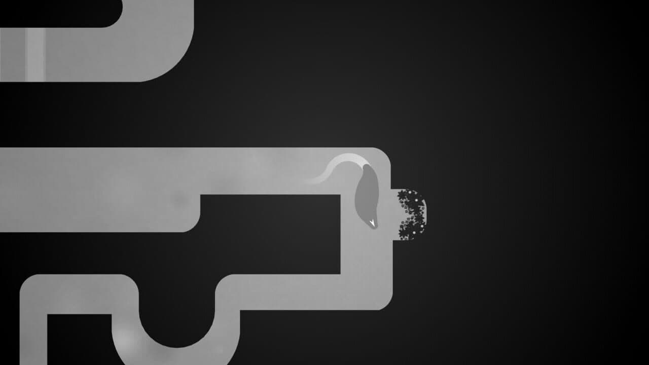 Phi thumbnail 5