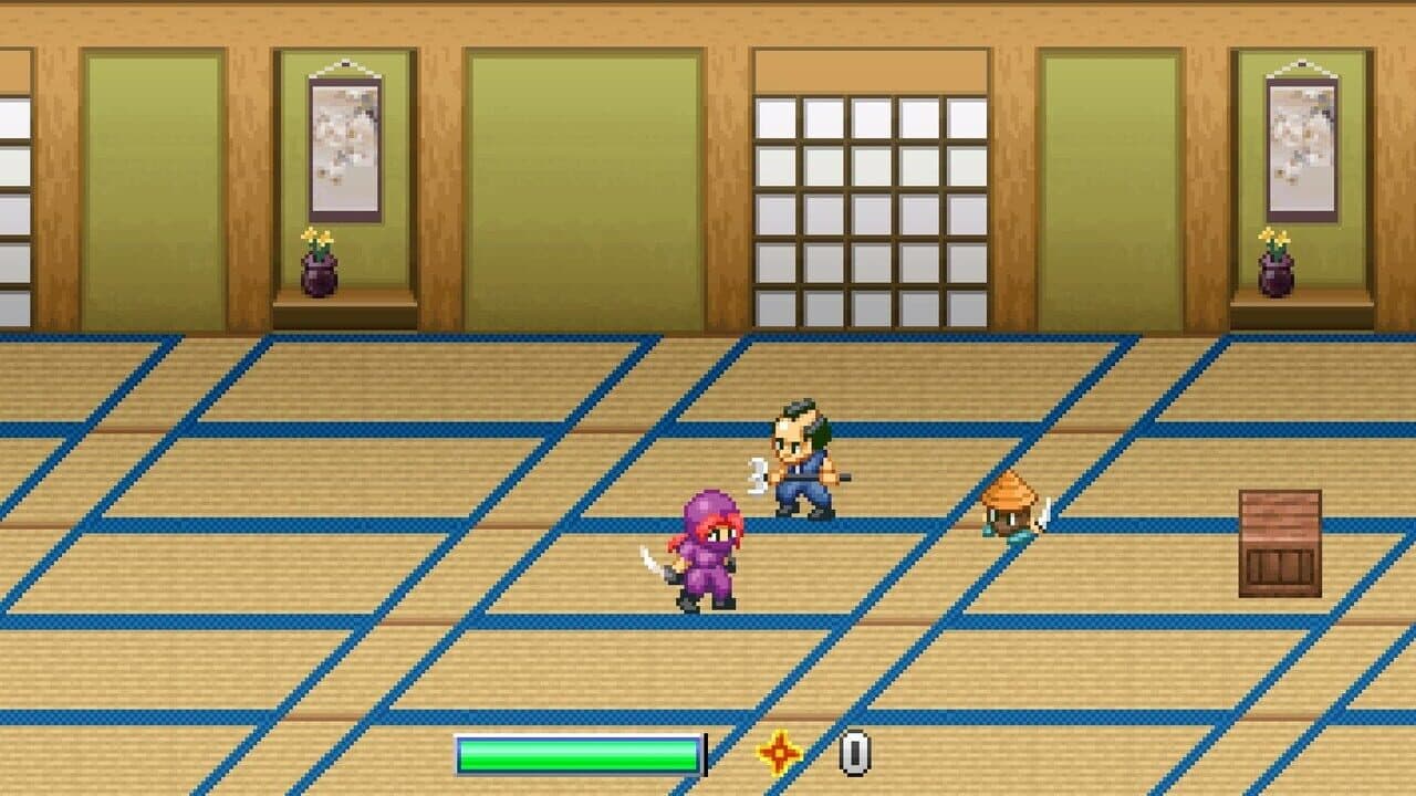 Ninja Kunoichi thumbnail 2