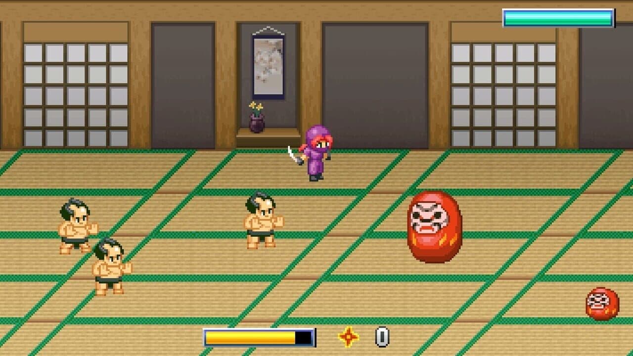 Ninja Kunoichi thumbnail 5