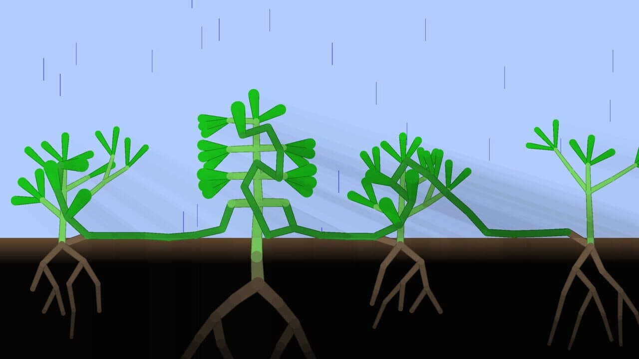 Kasi thumbnail 3