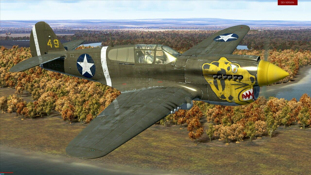 IL-2 Sturmovik: Battle of Stalingrad - P-40E-1 Collector Plane thumbnail 11