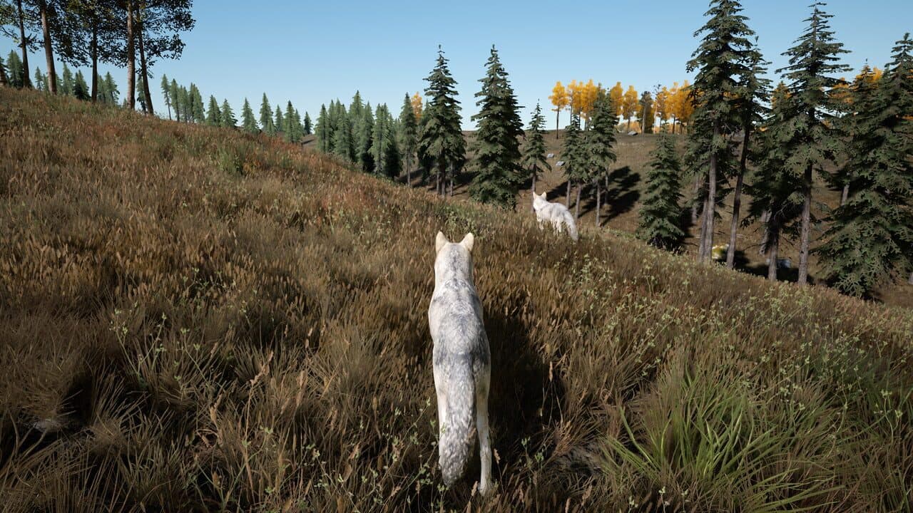 Spirit thumbnail 2