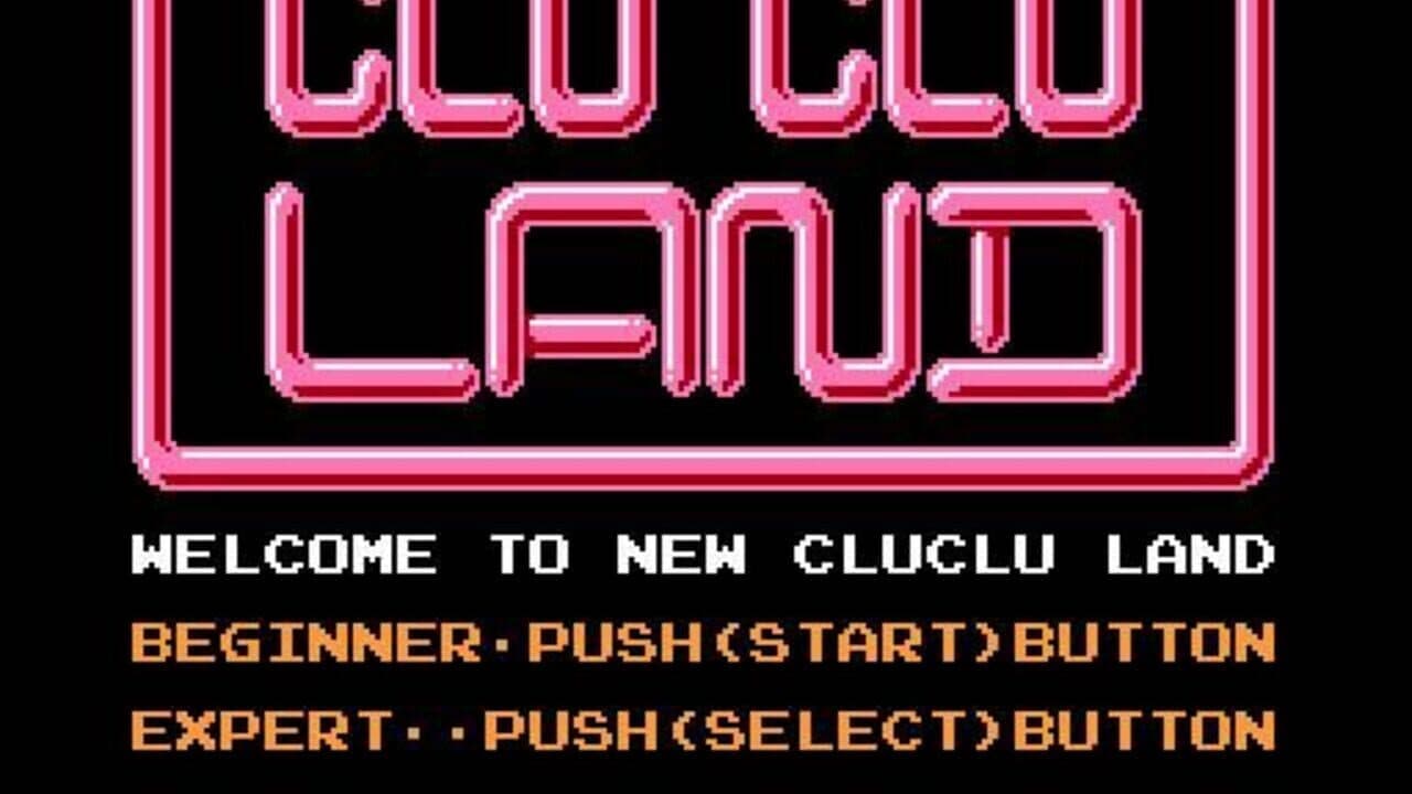 Clu Clu Land D screenshot 1