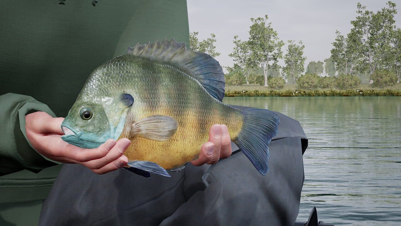 Fishing Sim World: Pro Tour - Lake Williams thumbnail 5
