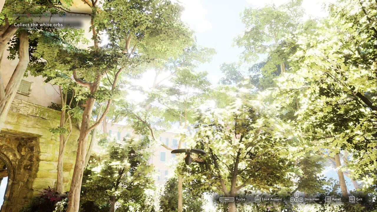 The Market of Light thumbnail 3