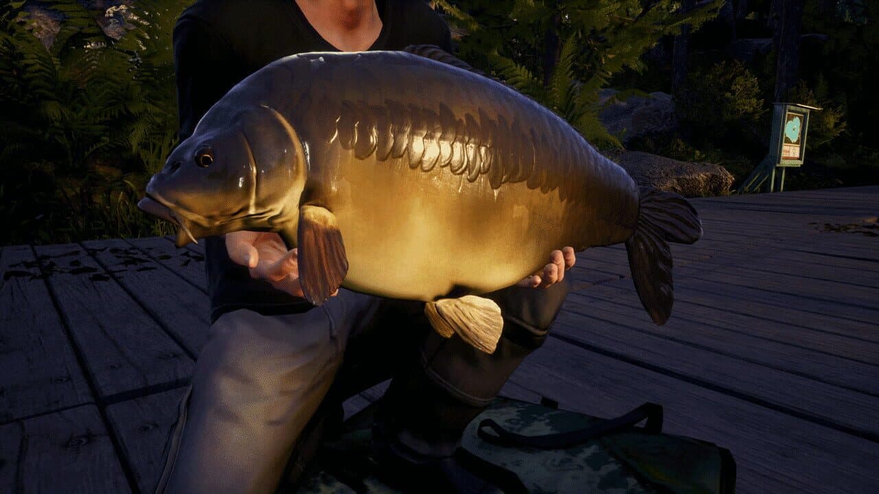 Euro Fishing: Waldsee thumbnail 2