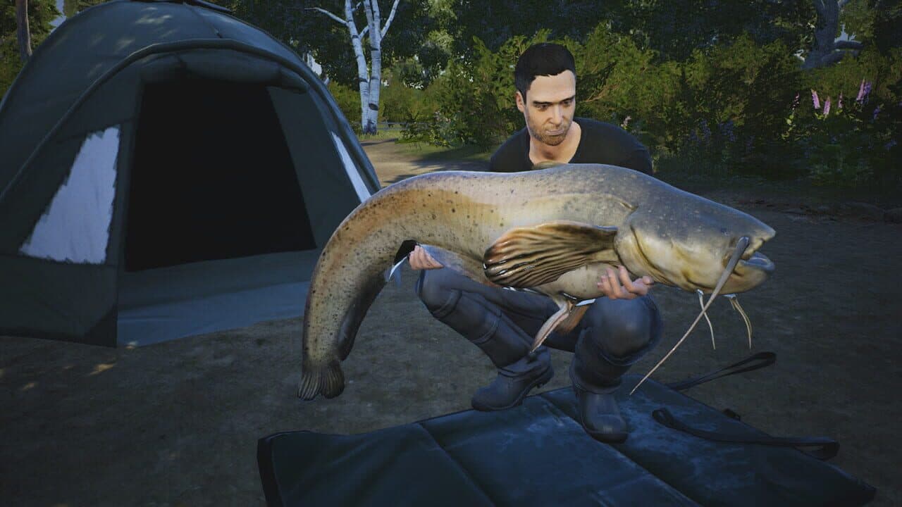Euro Fishing: Le Lac d'or thumbnail 2