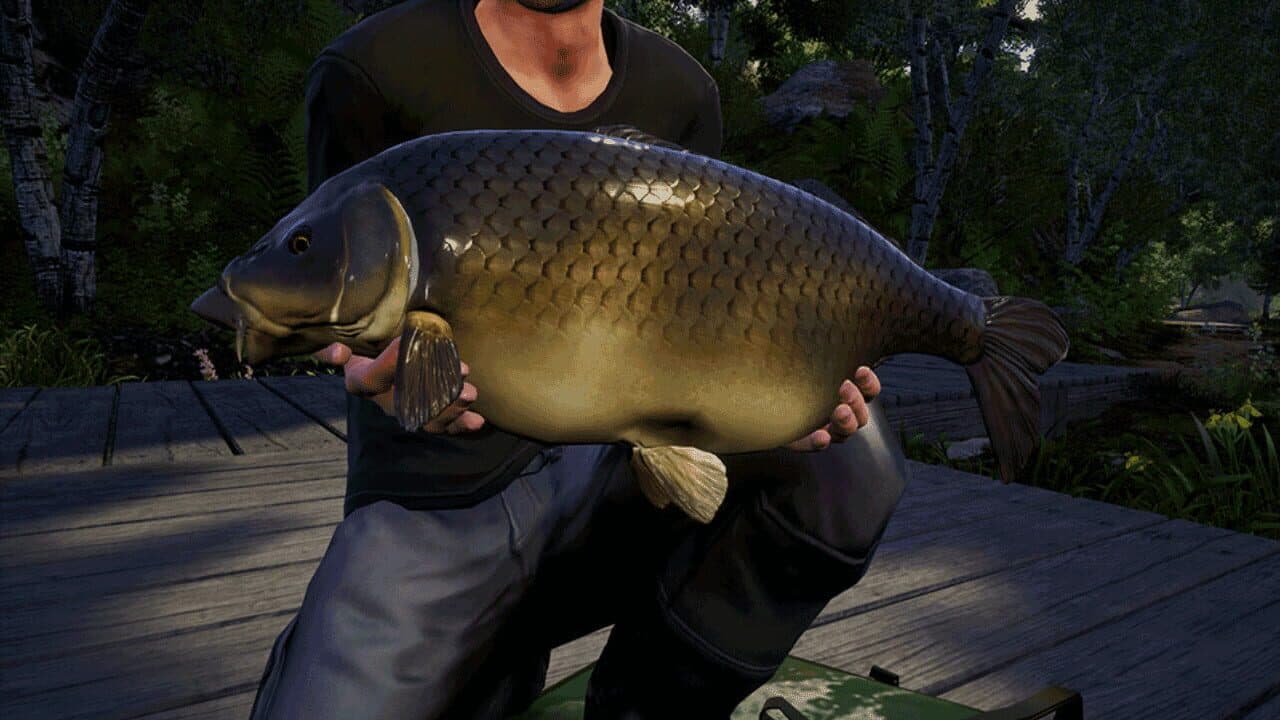 Euro Fishing: Waldsee thumbnail 5