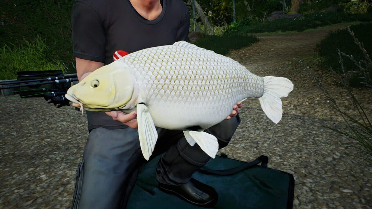 Euro Fishing: Hunters Lake thumbnail 5