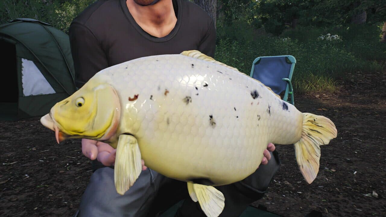 Euro Fishing: Lilies thumbnail 9