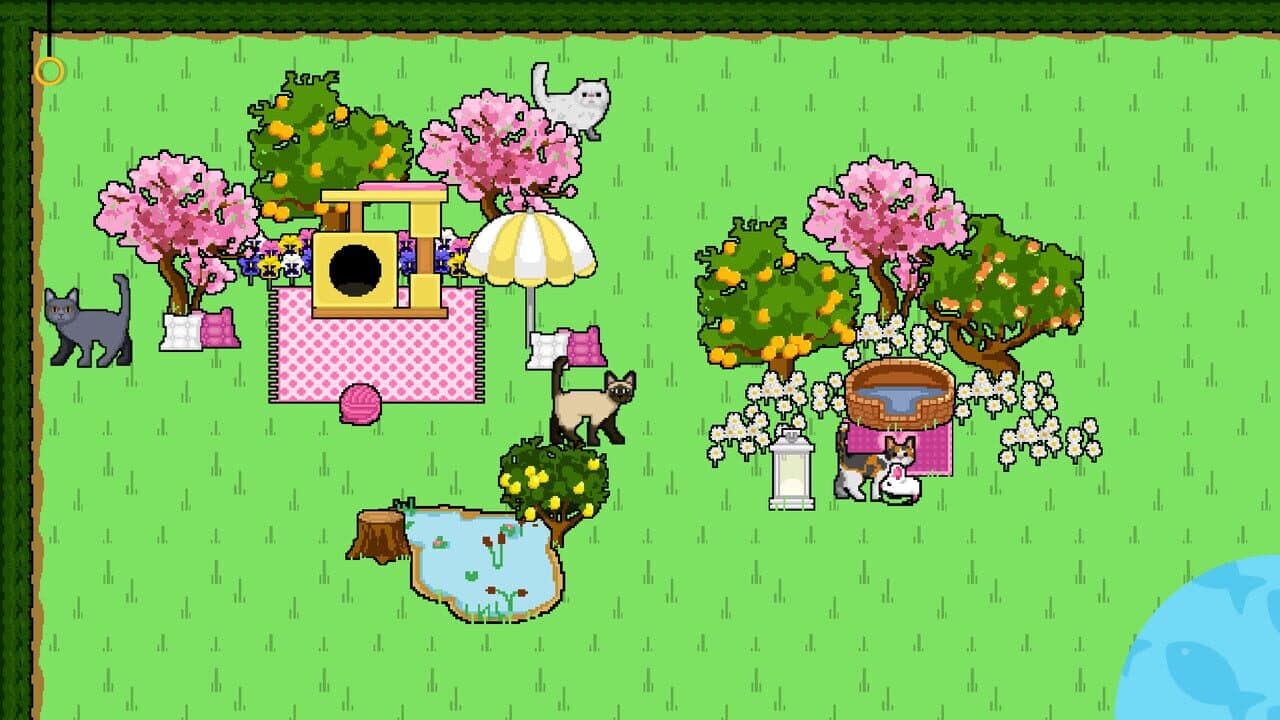Puppy Cross: Kitty Cross thumbnail 2