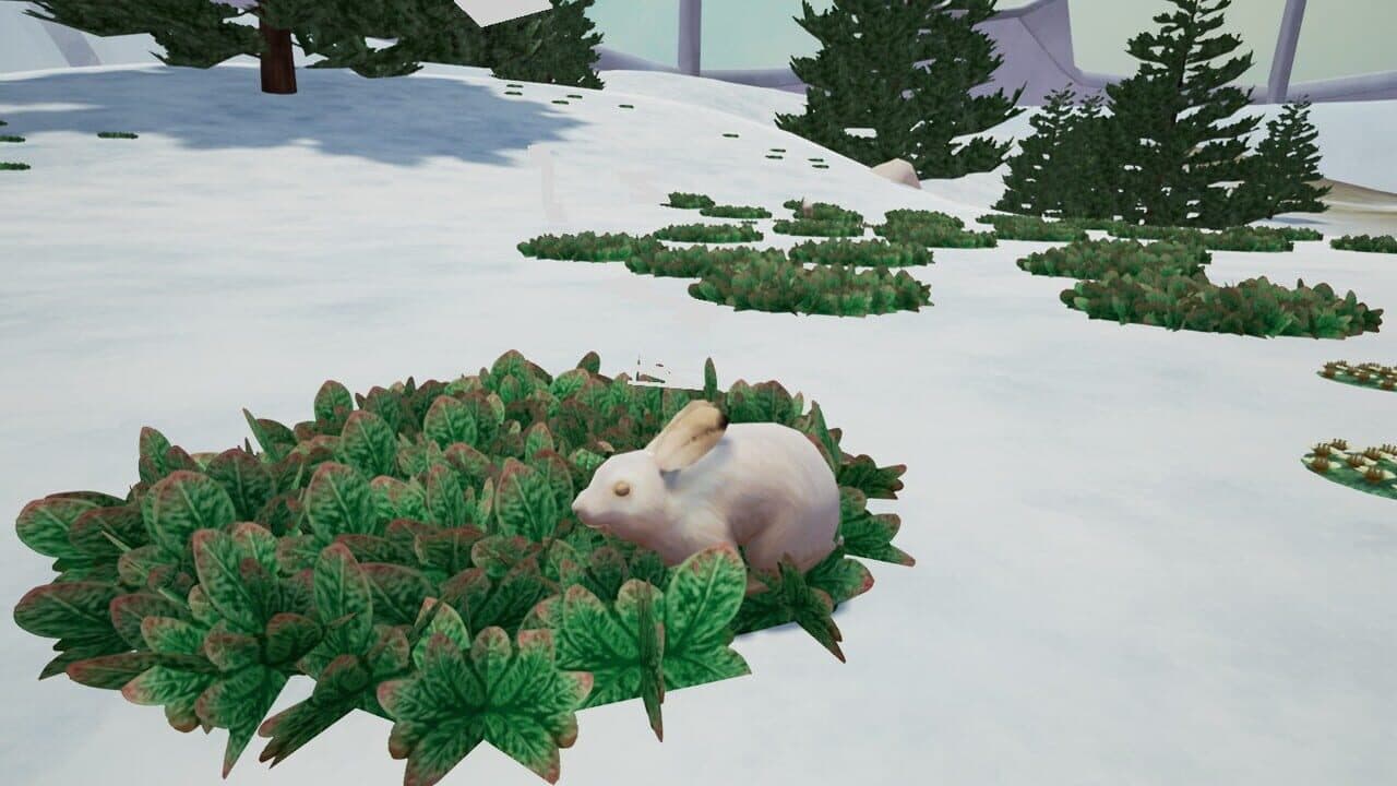 Tyto Ecology: Alaskan Tundra Ecosystem thumbnail 8