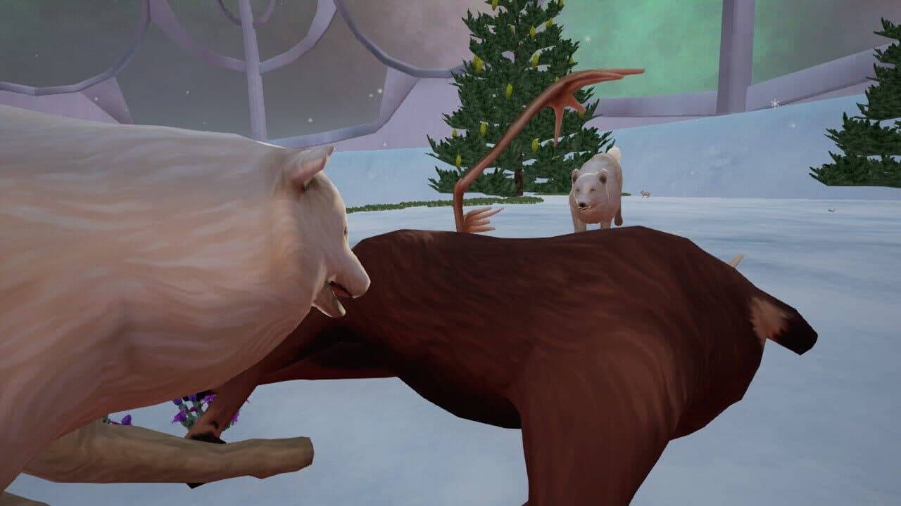 Tyto Ecology: Alaskan Tundra Ecosystem thumbnail 2