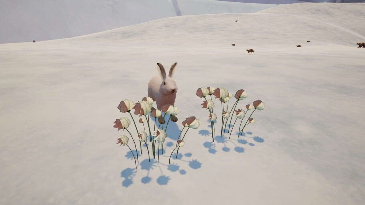 Tyto Ecology: Alaskan Tundra Ecosystem thumbnail 3