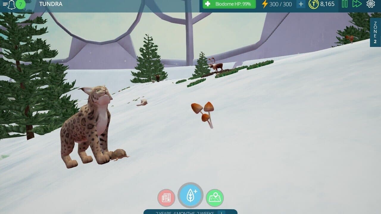 Tyto Ecology: Alaskan Tundra Ecosystem thumbnail 6