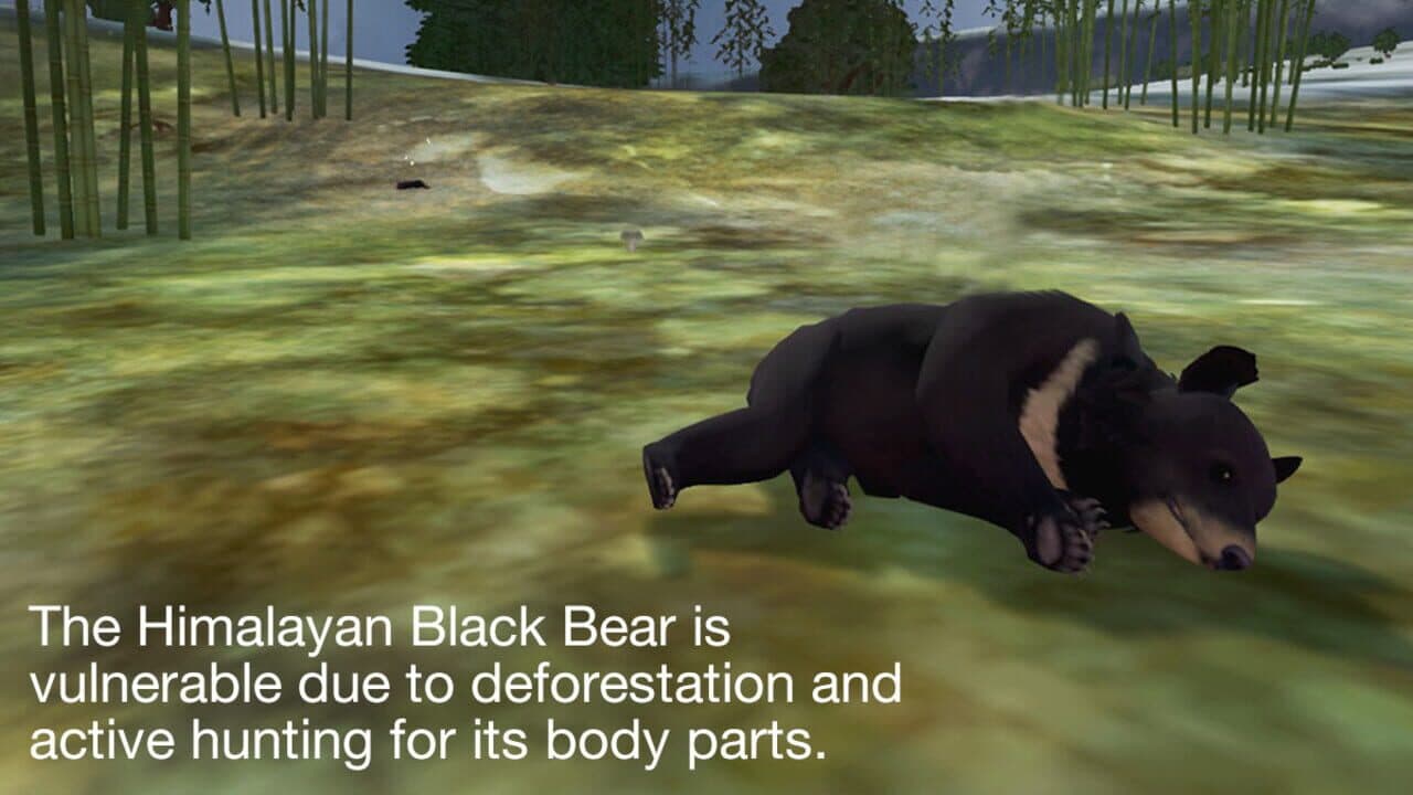 Tyto Ecology: Himalayas Ecosystem thumbnail 5