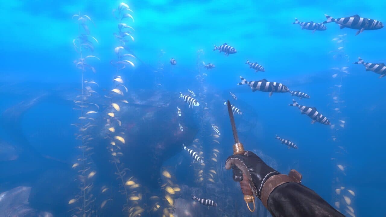 Depth: Wilhelm Diver thumbnail 3