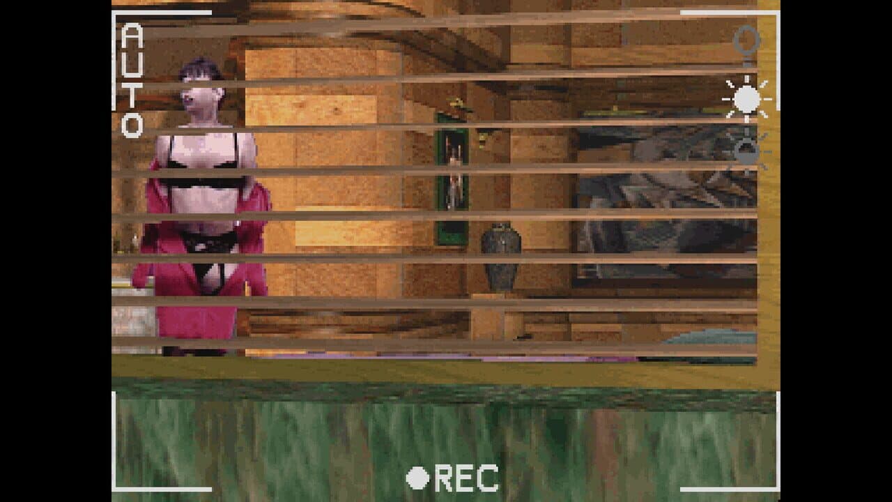 Voyeur thumbnail 8