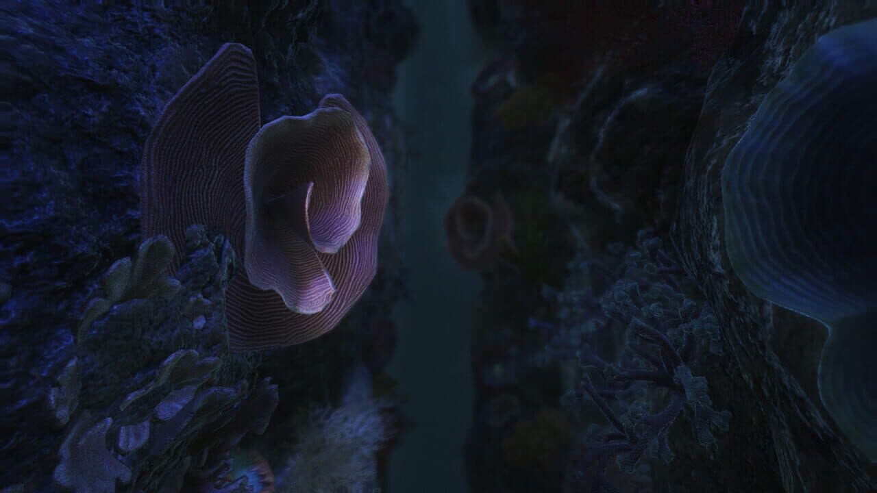 20,000 Miles Under the Sea thumbnail 5