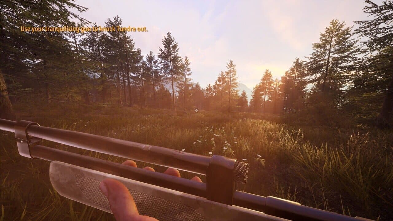 Hunting Simulator 2: A Ranger's Life thumbnail 5