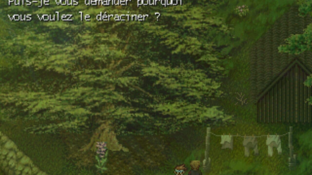 Orange Salvifique thumbnail 3