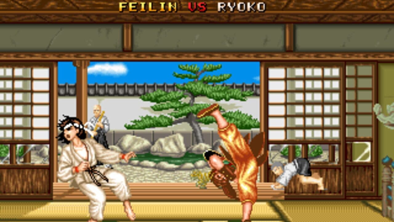 Fighter's History thumbnail 11