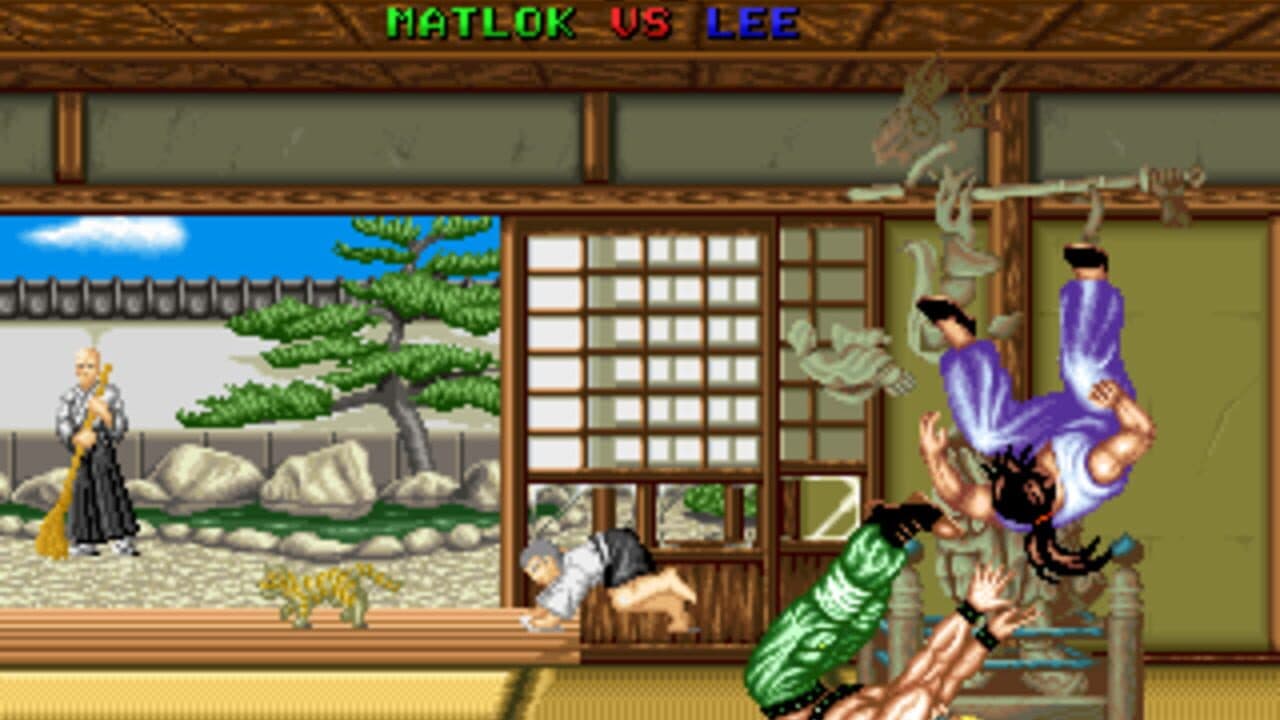 Fighter's History thumbnail 7