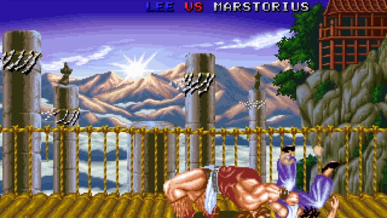 Fighter's History thumbnail 8