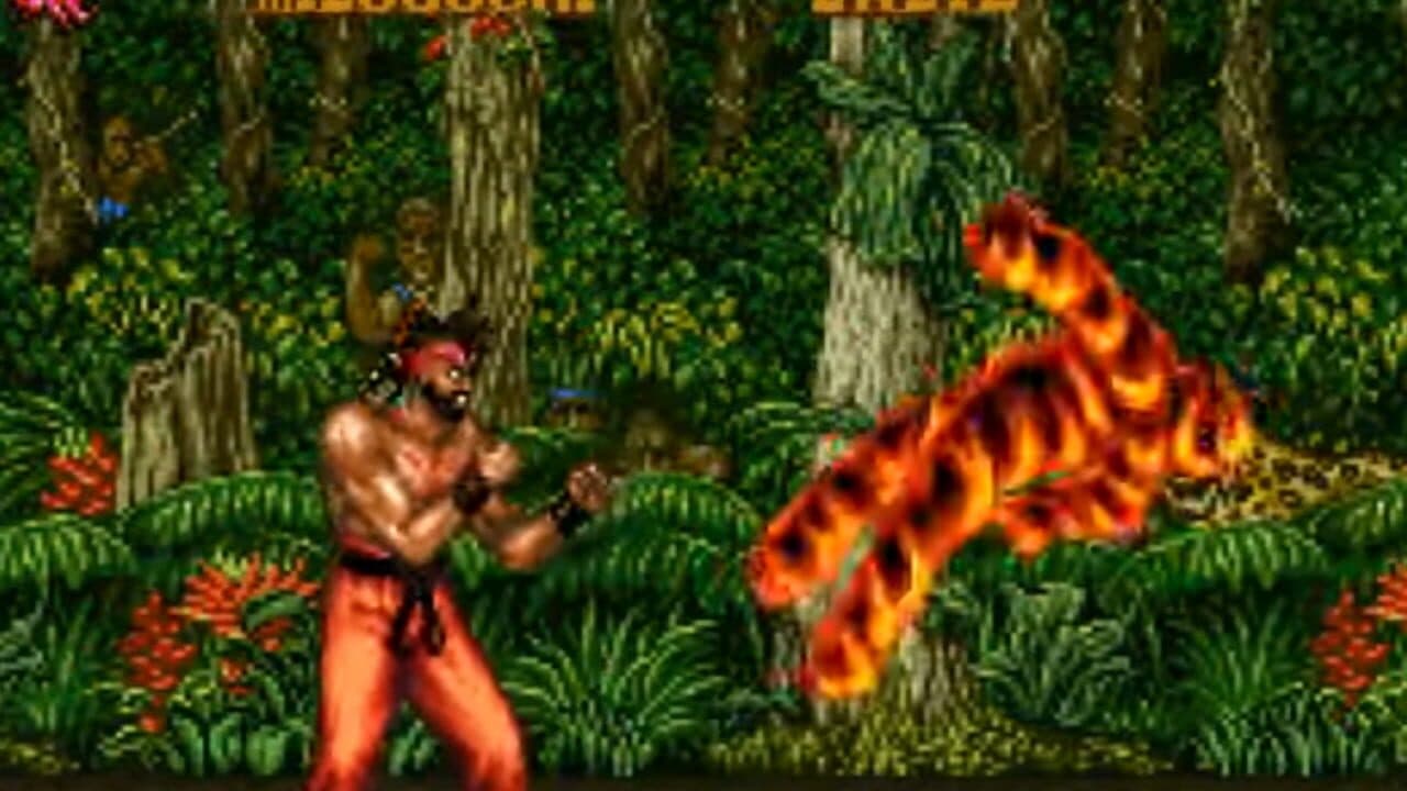 Fighter's History 2 thumbnail 5