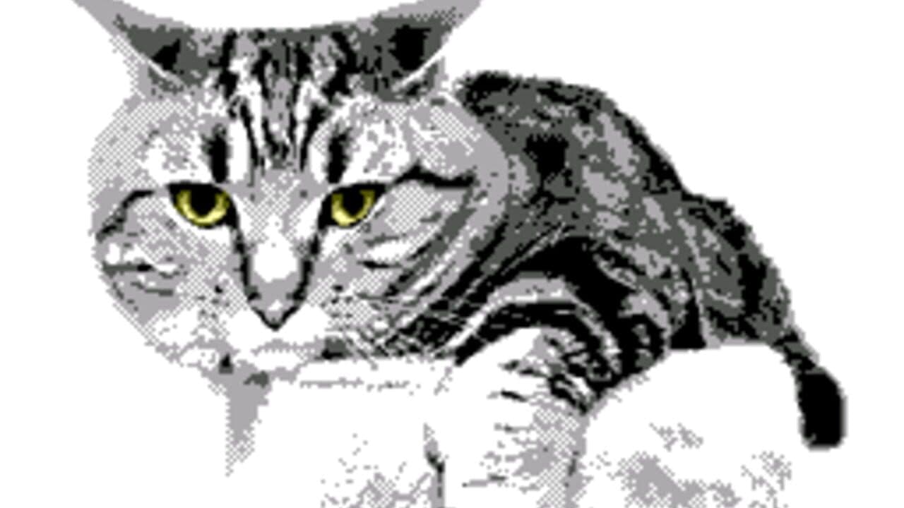 Doka-fli screenshot 1