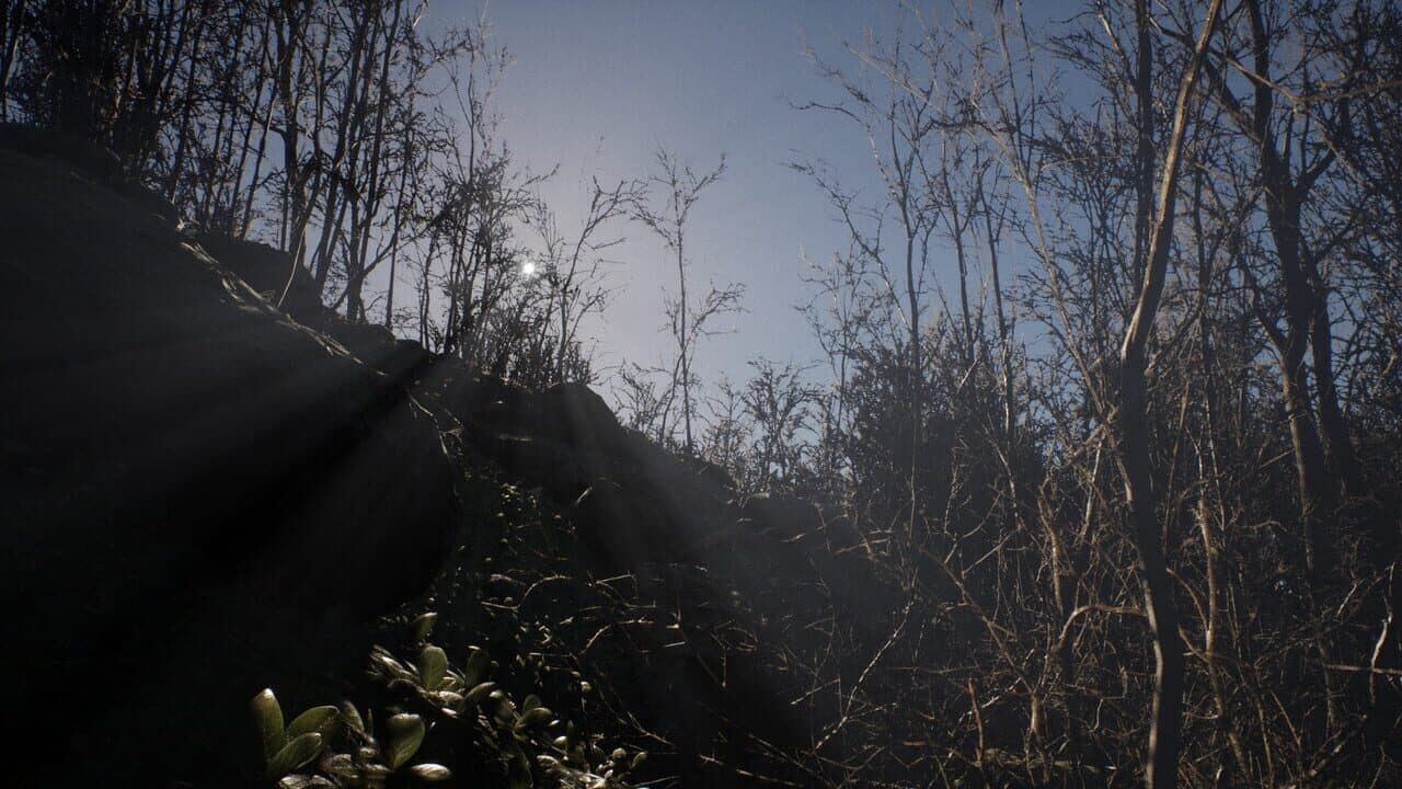 The Ground Division thumbnail 4