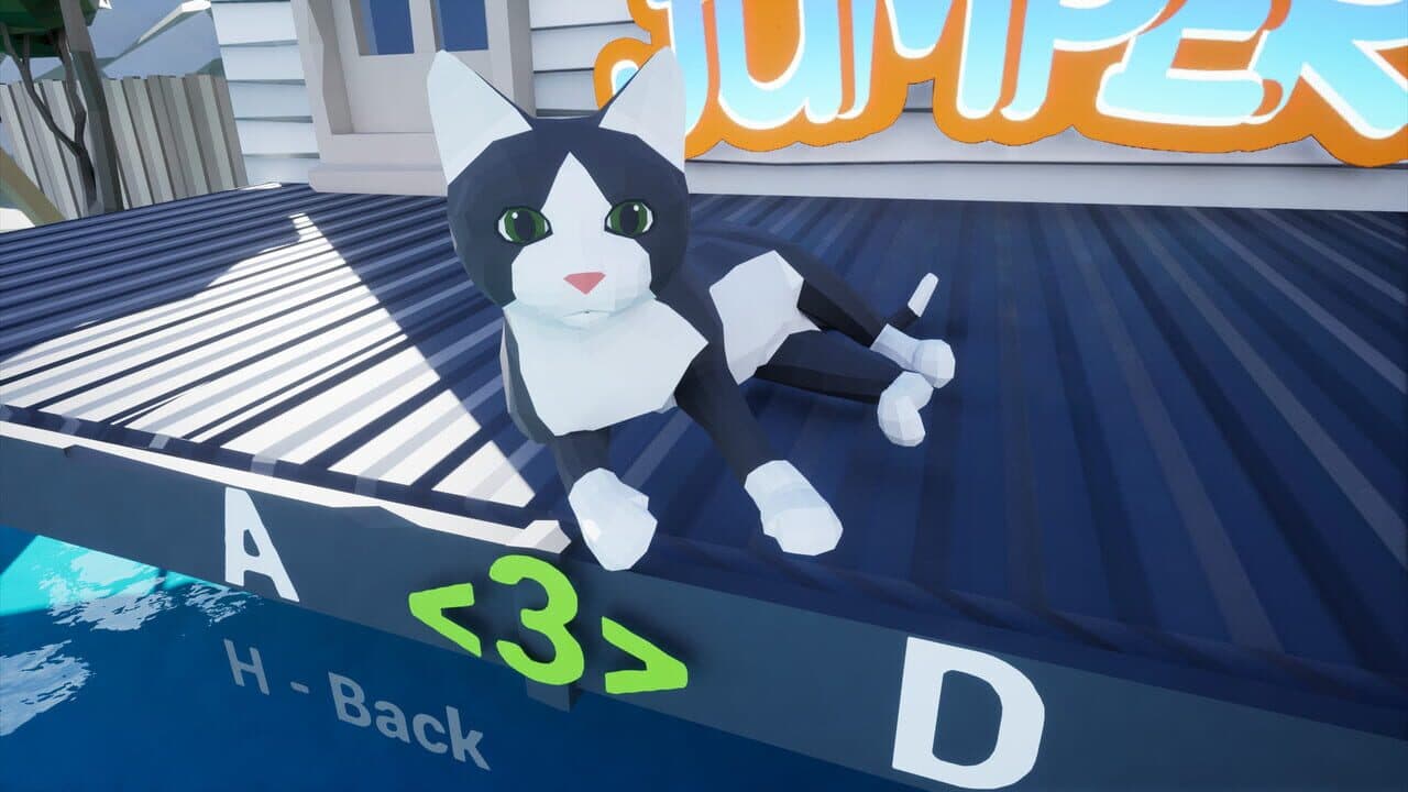 Cat Jumper thumbnail 7