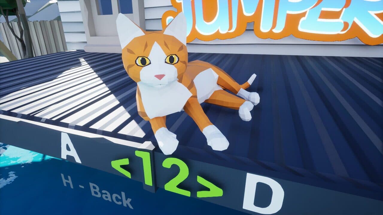 Cat Jumper thumbnail 6
