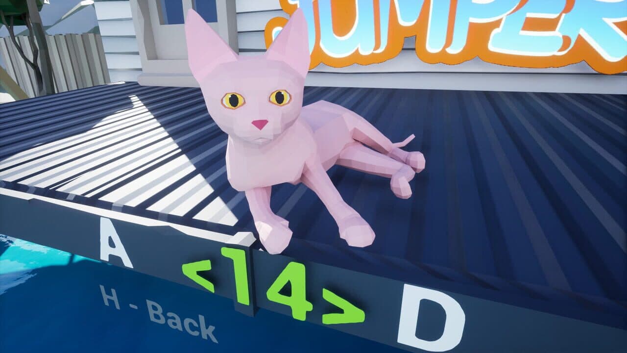 Cat Jumper thumbnail 3
