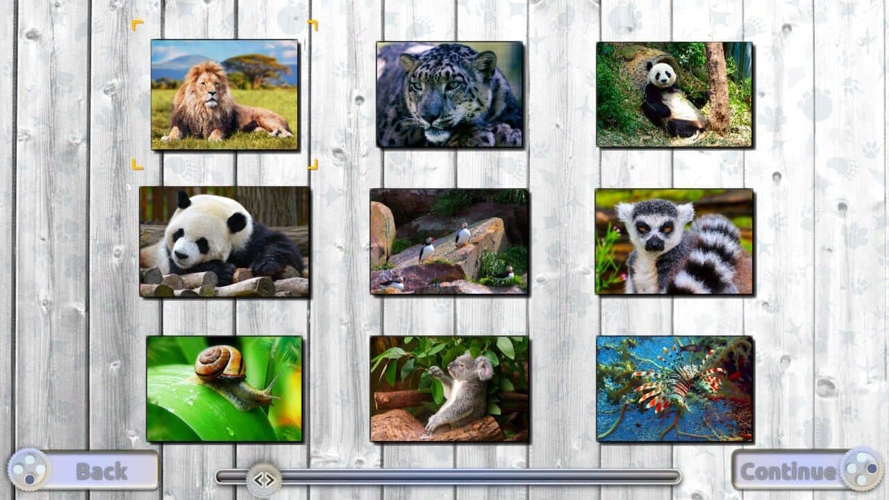 Jigsaw Fun: Amazing Animals thumbnail 4