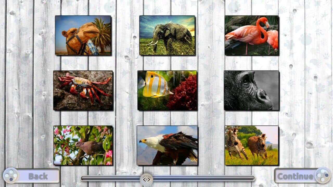 Jigsaw Fun: Amazing Animals thumbnail 5
