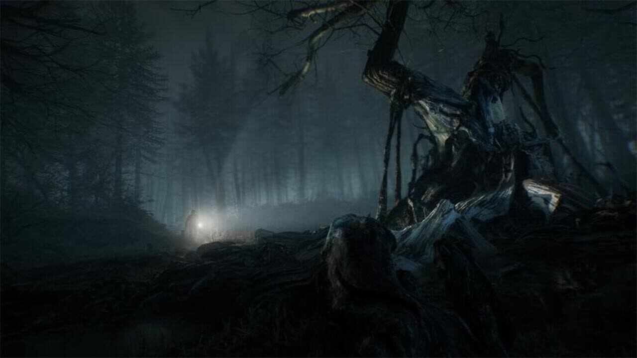 Blair Witch: Limited Edition thumbnail 2